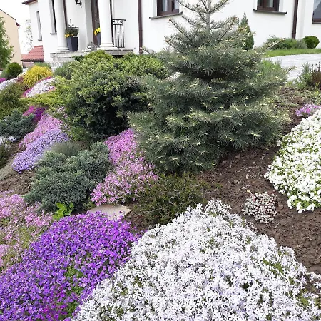 Apartament Wika * Wieliczka