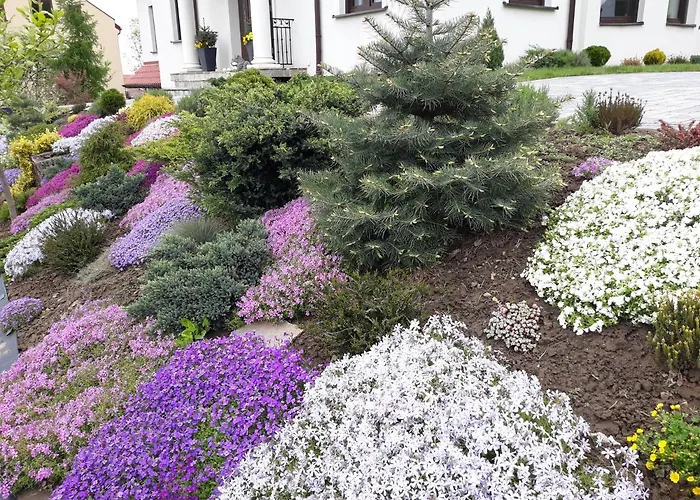 Apartament Wika * Wieliczka